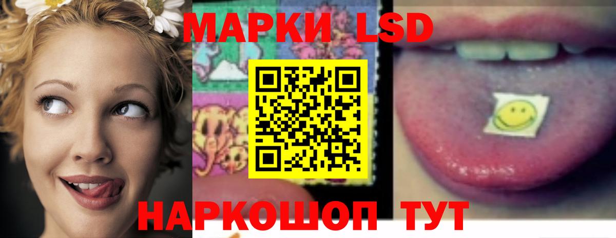 гидра tor  Вход с VPN  Лсд 25 экстази  Лсд 25 экстази кислота  Лесной  LSD-25 экстази кислота 
