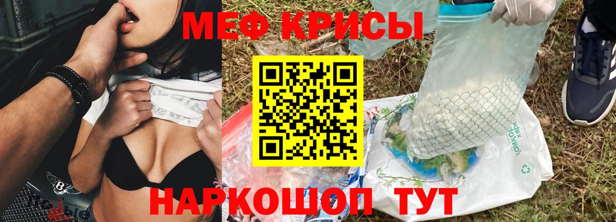 Лесной  МЯУ-МЯУ мяу мяу  МЕФ  МЕФ  Вход с VPN 