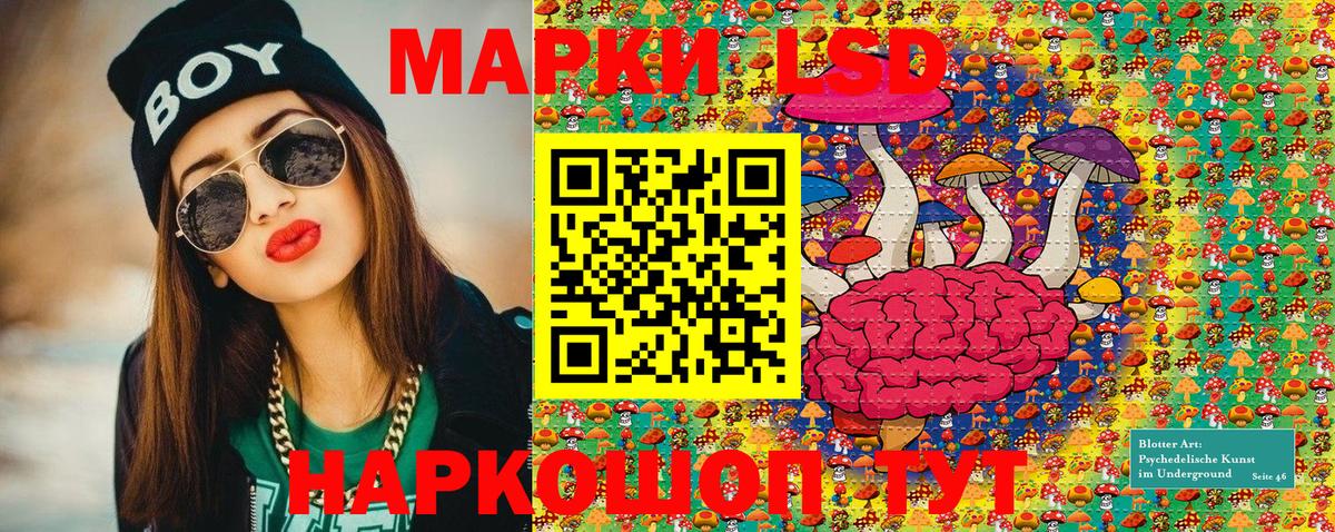 Лесной  Марки N-bome 1500мкг  где купить наркотик  Вход с VPN 