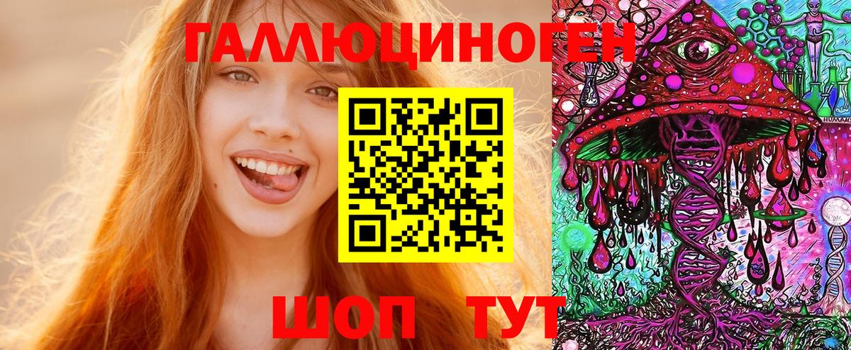 Псилоцибиновые грибы MAGIC MUSHROOMS  Вход с VPN  Лесной 